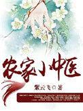 农家小中医TXT书包网