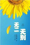 无二无别沐清雨番外txt