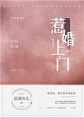 惹婚上门简介