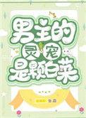 男主灵宠是棵大白菜