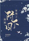 我被囚禁了免费阅读无弹窗