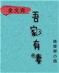 娘子在下有眼无珠全本