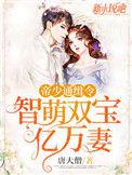 帝少追缉令天才萌宝亿万妻阅读版