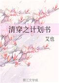 清穿之计划书 艾也