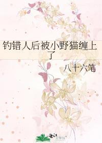 钓鱼钓到猫