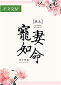 宠妻如命全文阅读