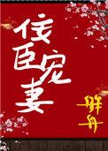 佞臣宠妻双重生舴舟TXT