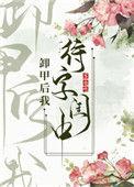 卸甲后我待字闺中讲的什么