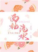 西柚汽水无广告