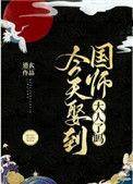 今日娶到国师大人了