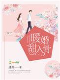 暖婚甜入骨第几章圆房