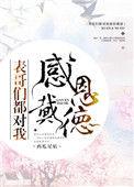 表哥们都对我感恩戴德完整版