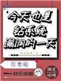今天也是钻漏系统的一天肉