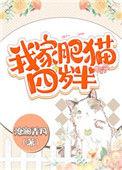 我家的肥猫四岁半