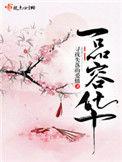 一品容华讲的什么故事