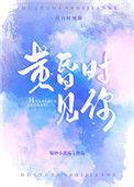 黄昏时见你原著