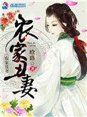农家丑妻讲的什么