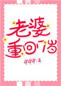 老婆重回17岁全文免费阅读