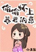 偷偷怀上暴君的崽小文旦30