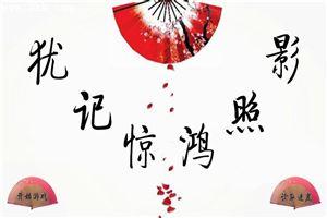犹记惊鸿照影电视剧