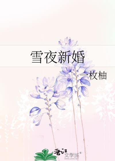 雪夜新婚by秦凝雨谢迟宴