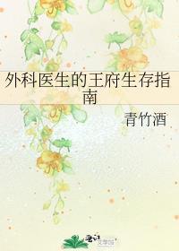 外科医生的王府生存指南T
