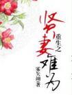 重生之贤妻难为 雾矢翊TXT