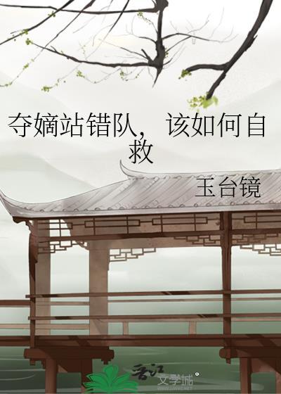 夺嫡之战是什么意思