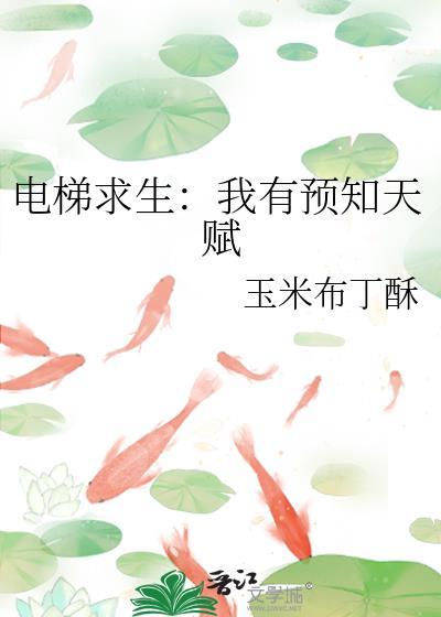 电梯游说