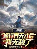 我无敌了 作者起风的季节