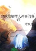 穿成植物人冲喜的寡妇笔趣阁