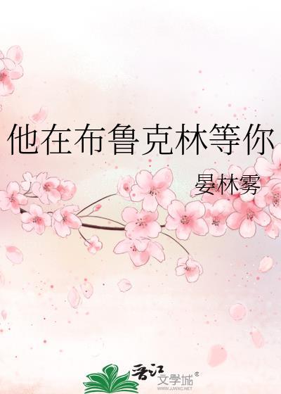 布鲁克林讲的是什么