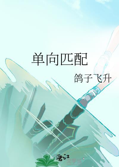 单向匹配TXT