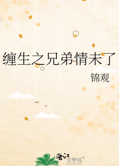 78集兄弟情未了大结局