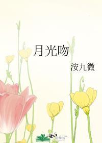 月光吻过迟来的人