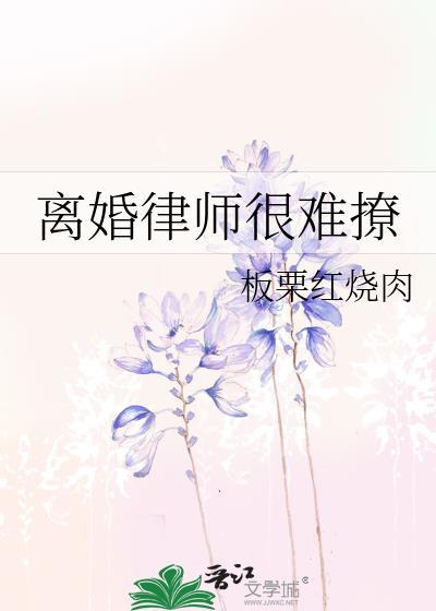 离婚律师咨询费用收取标准