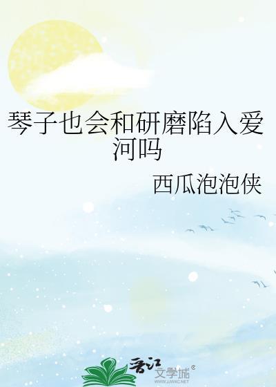 琴子怀孕是哪一集