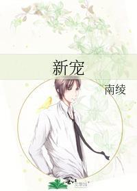 新宠的英文