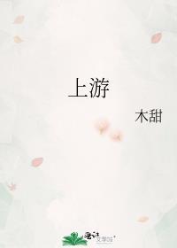 上游211大学有哪些