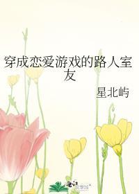 穿成恋爱游戏女主作者夙夜笙歌