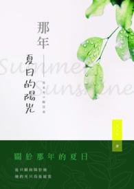 那年夏日微光正好