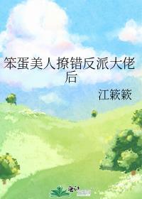 笨蛋美人撩错反派大佬后txt