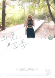 再见了四季星翻译成英文