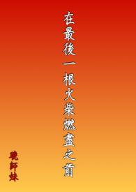 最后一根火柴阅读理解答案
