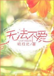无法不爱讲的是什么