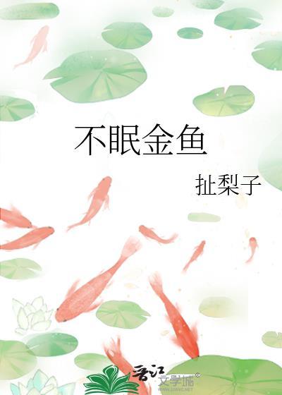 金鱼不睡觉