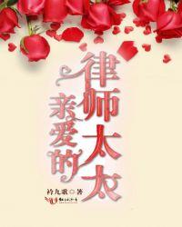 亲爱的律师先生