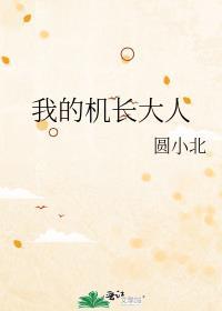 我的机长大人韩剧