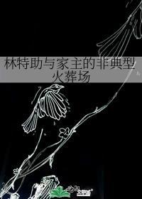 林特助他真txt