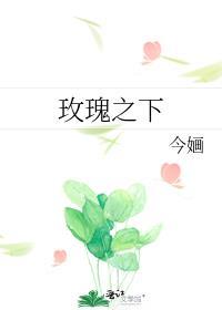 玫瑰之下今婳晋江